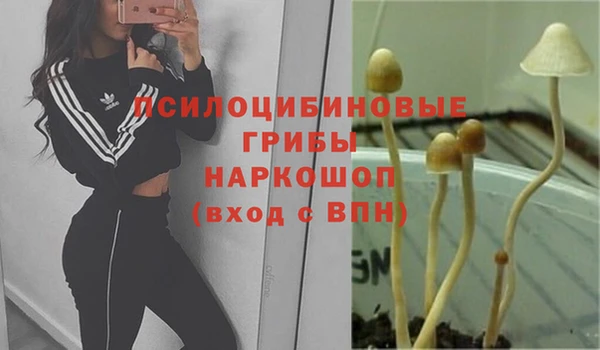амфетамин Аркадак