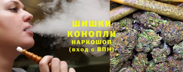 прущий лед Арсеньев