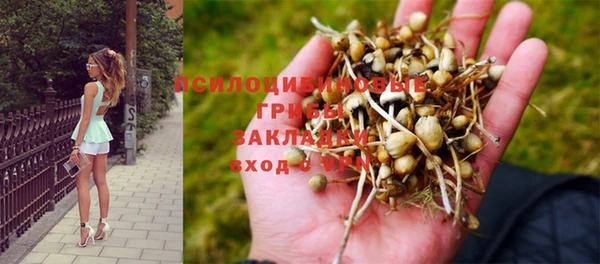 амфетамин Аркадак