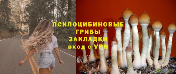 синтетический гашиш Армянск